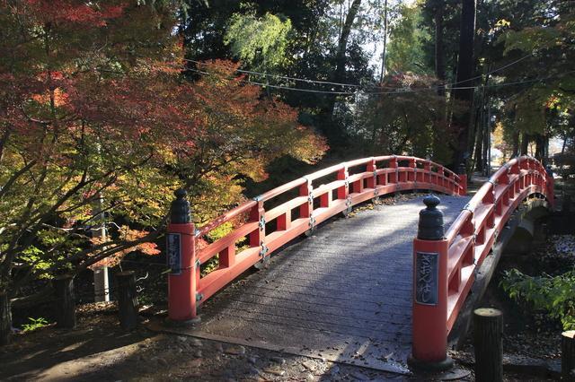 城山公園（祇園城跡）