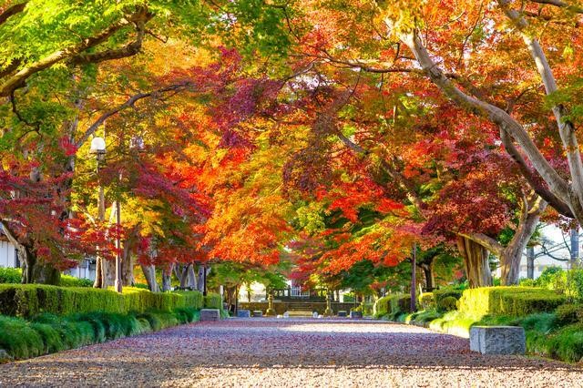 大山参道