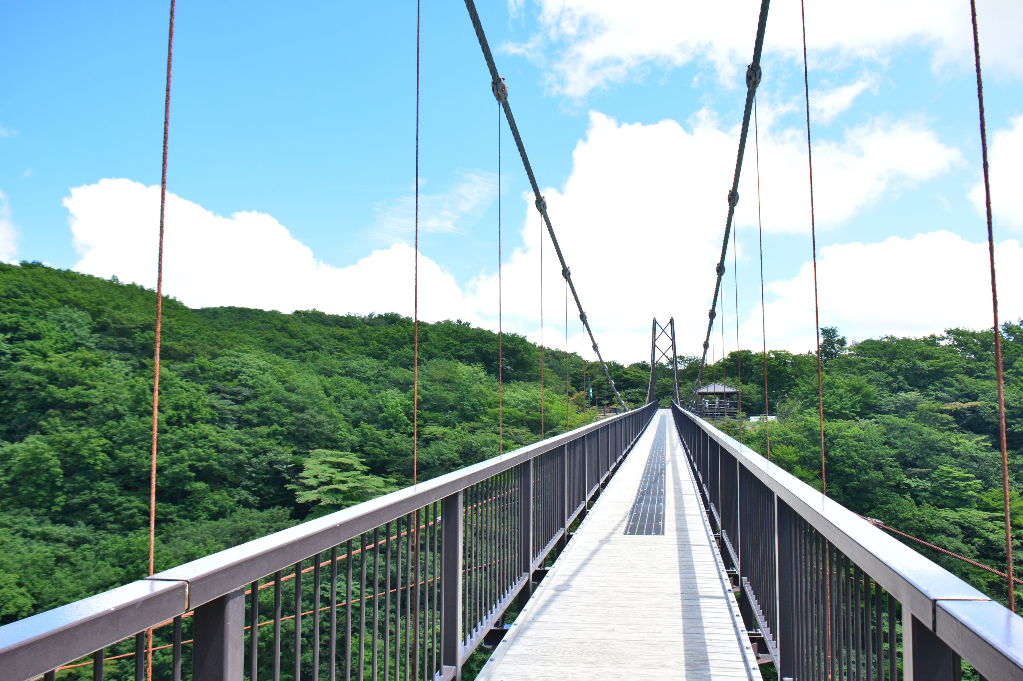 つつじ吊り橋