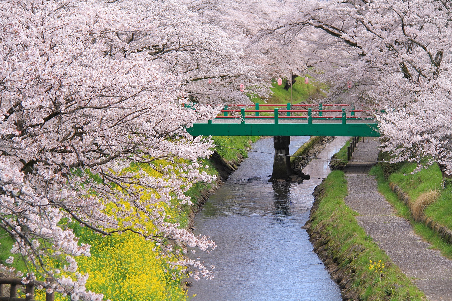 行屋川水辺公園