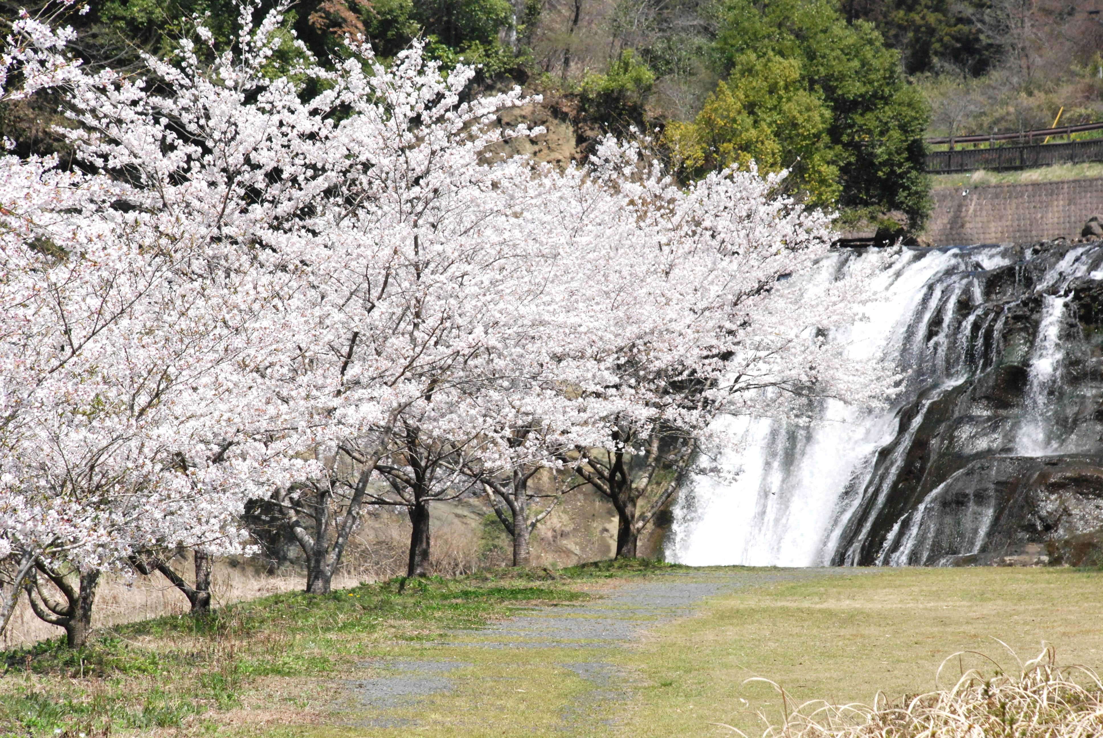 龍門の滝