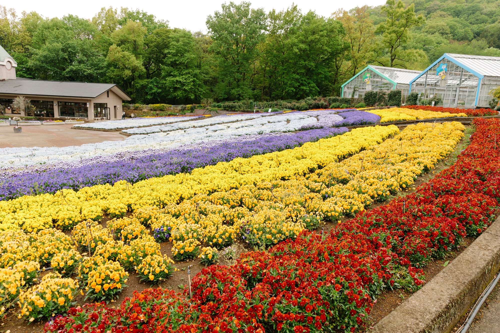 とちぎ花センター