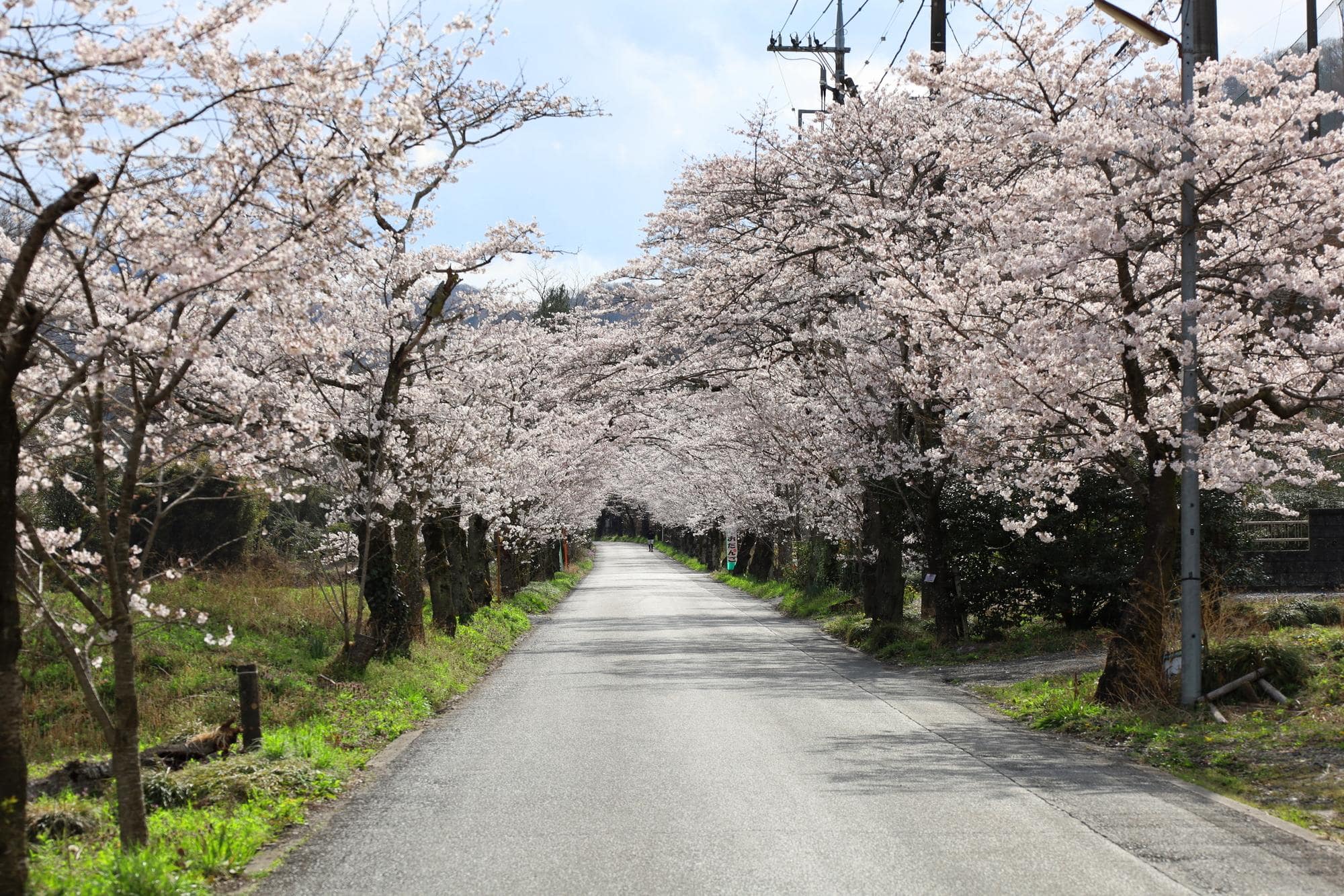 太平山県立自然公園