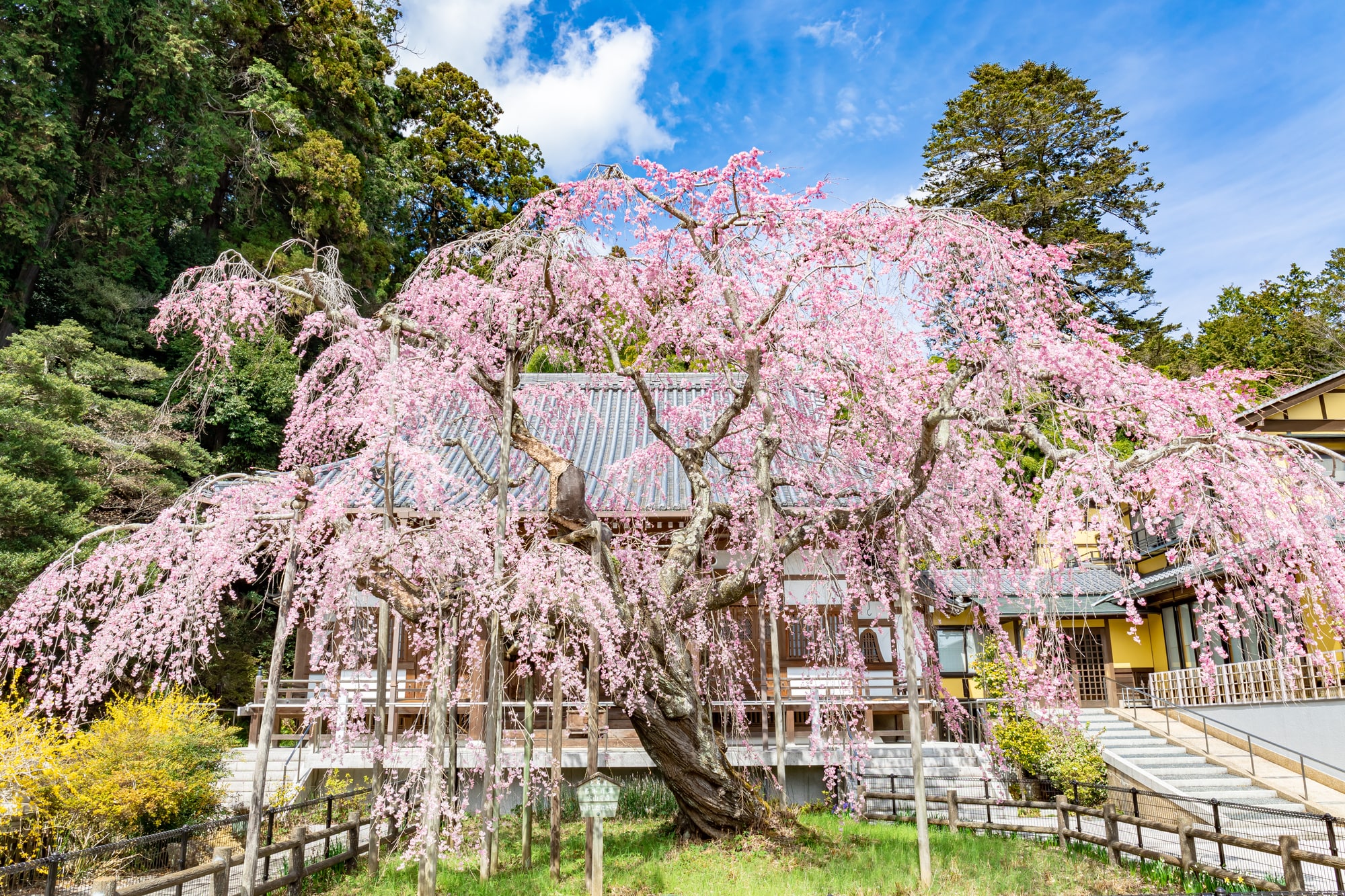 太山寺