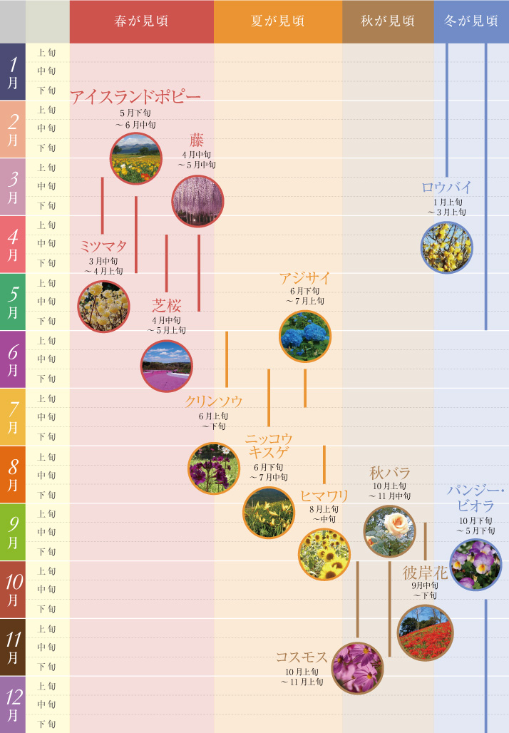 とちぎの花名所 とちぎ旅ネット 栃木の観光旅行情報サイト