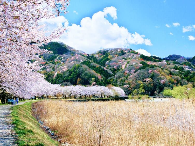 出会いの森総合公園<br>オートキャンプ場