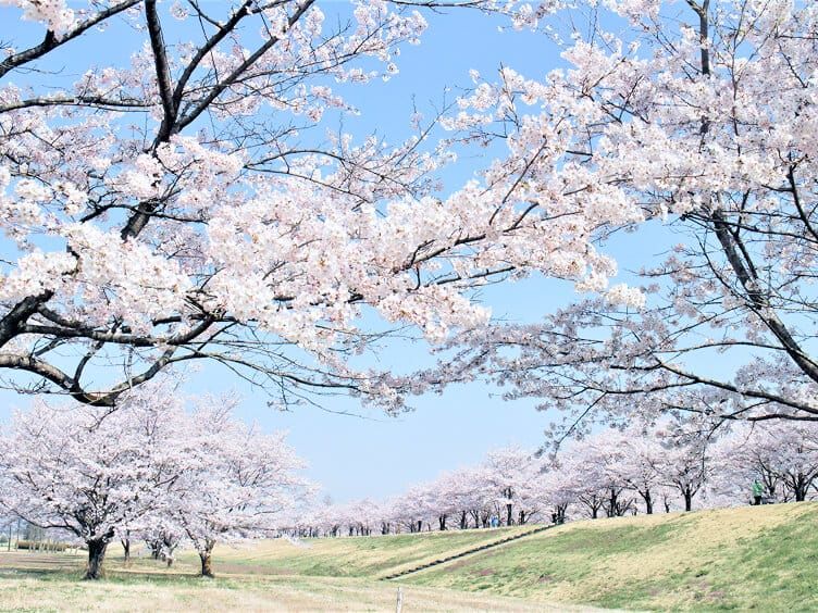 氏家ゆうゆうパーク