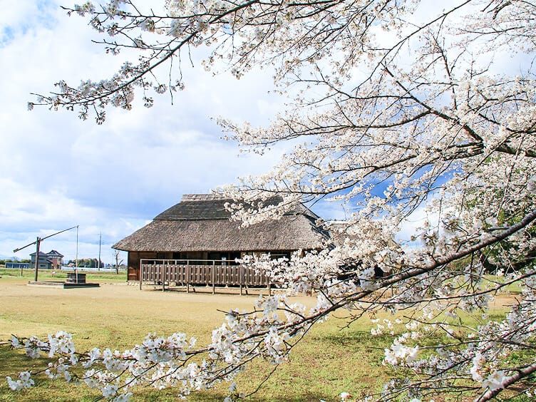 史跡桜町陣屋跡