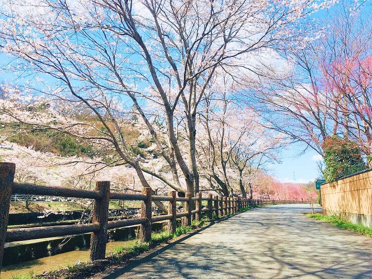 ふるさと茂木春まつり