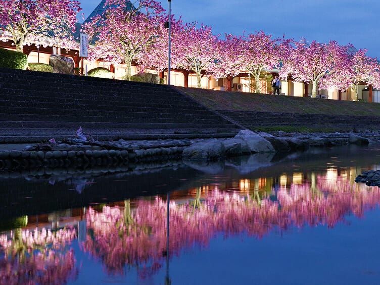 芳賀温泉ロマンの湯