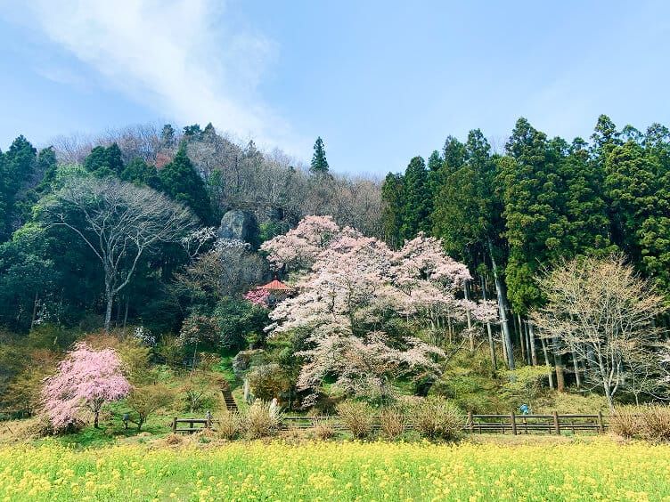 堂の下の岩観音