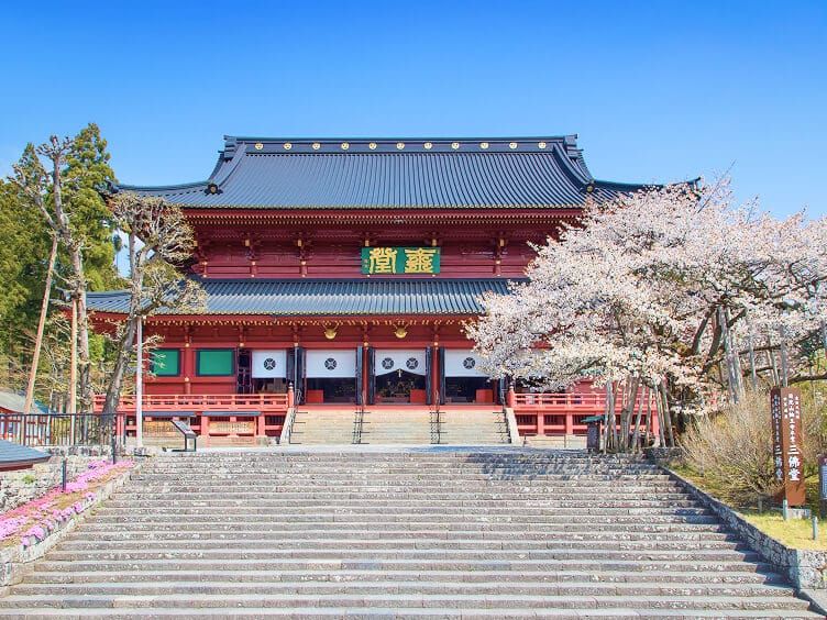 輪王寺三仏堂（金剛桜）