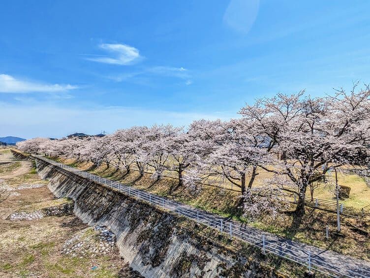 赤間々会館周辺