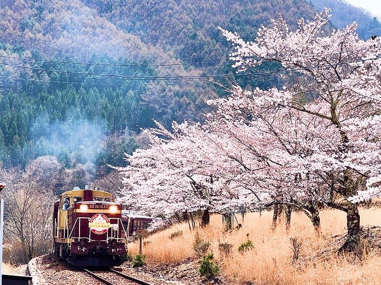 わたらせ渓谷鐵道各駅・沿線