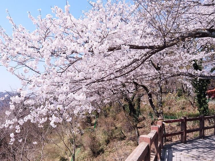 太平山<br>（太平山県立自然公園）