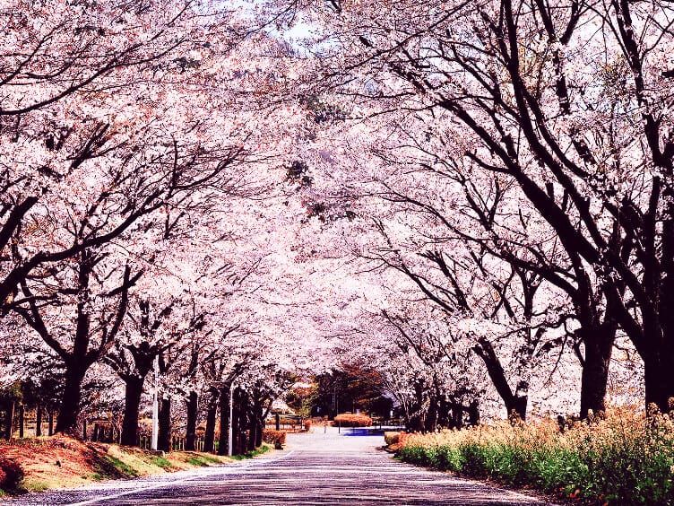 根古屋森林公園