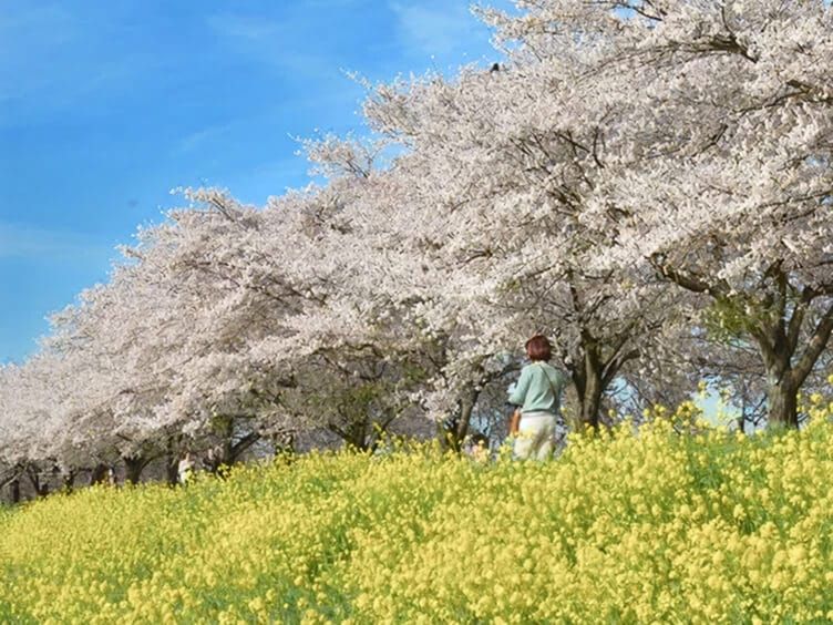 姿川アメニティパーク