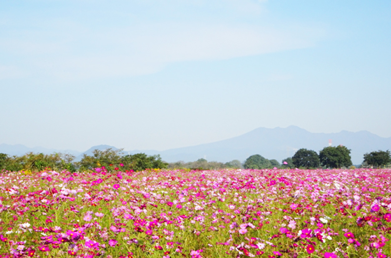 鬼怒グリーンパーク(高根沢町)