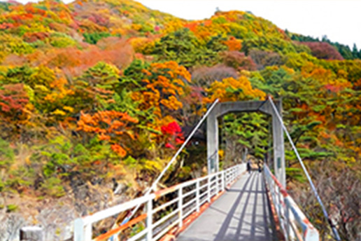 「龍王峡」～「川治温泉」の絶景ハイキング(日光市)