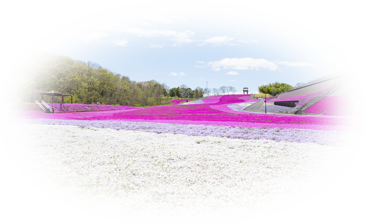 芝ざくら公園（市貝町）