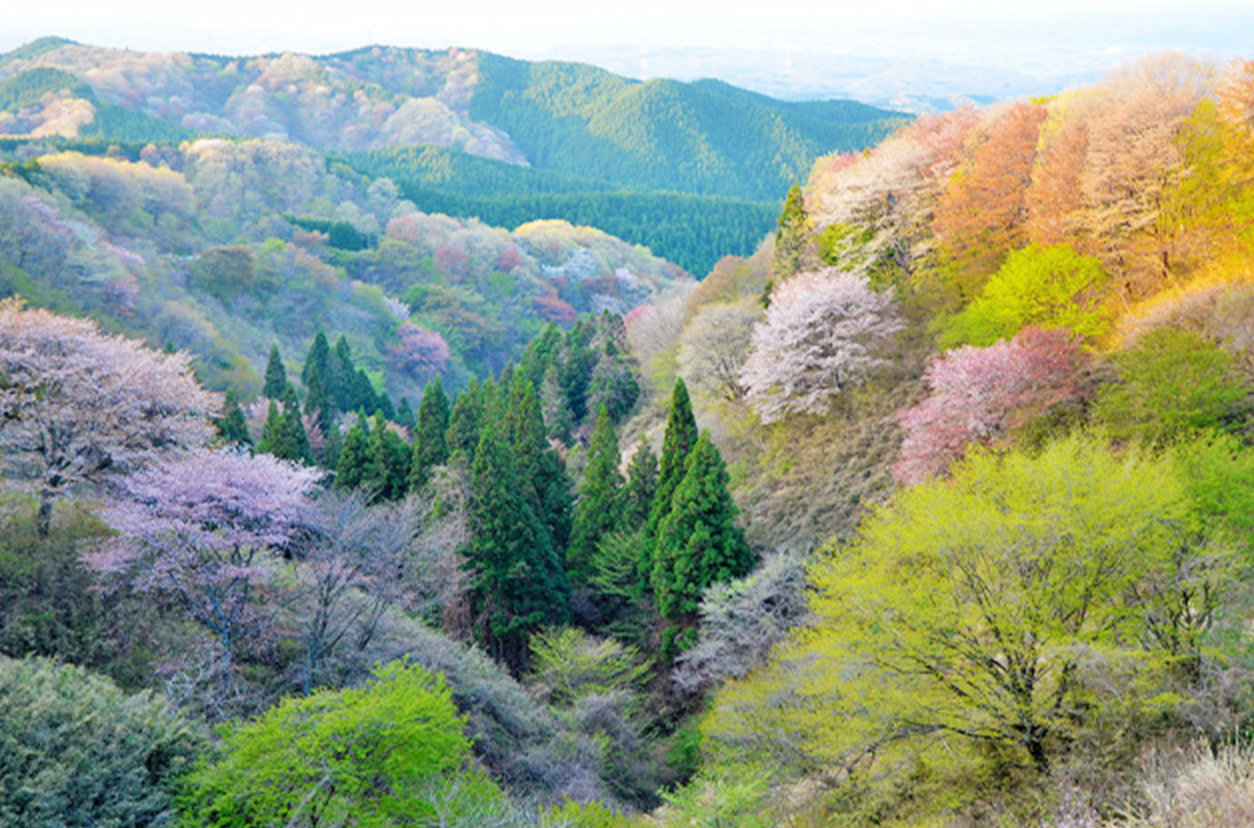 御亭山（大田原市）