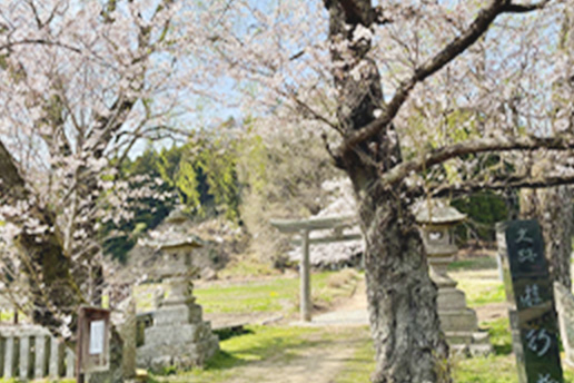 遊行柳（那須町）