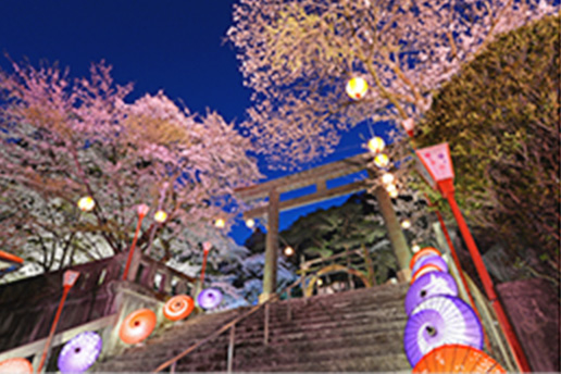 鬼怒川温泉夜桜ライトアップ～鬼怒川万華郷～（日光市）