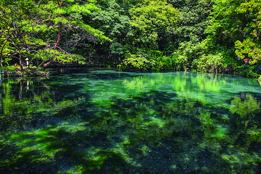 出流原弁天池・磯山弁財天（磯山公園）