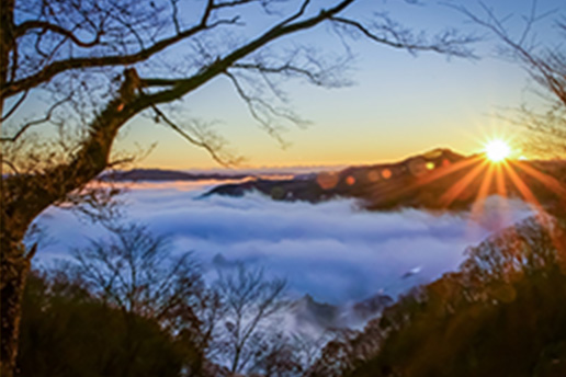 鎌倉山（茂木町）