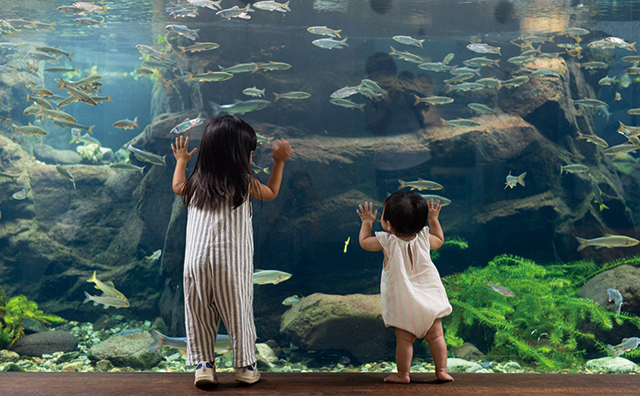 栃木県なかがわ水遊園