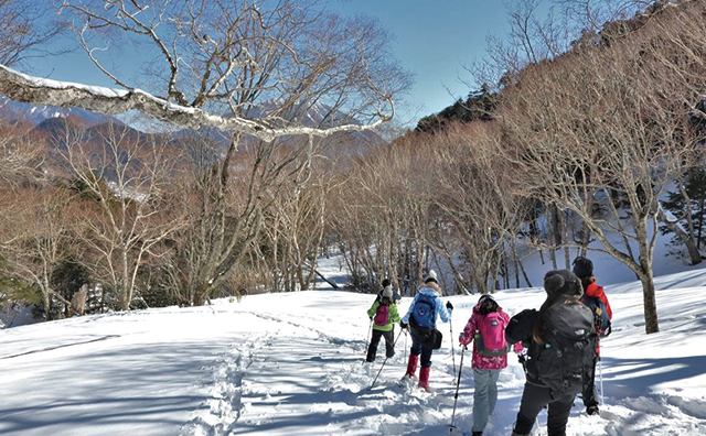 スノーシューで雪の森へ！