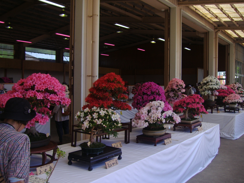 54th Kanuma Satsuki Festival