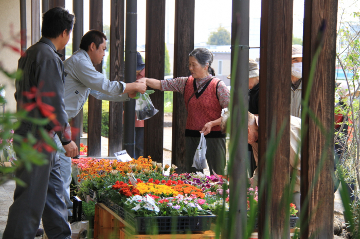 22年開催中止 花と緑の市 とちぎ旅ネット 栃木の観光旅行情報サイト