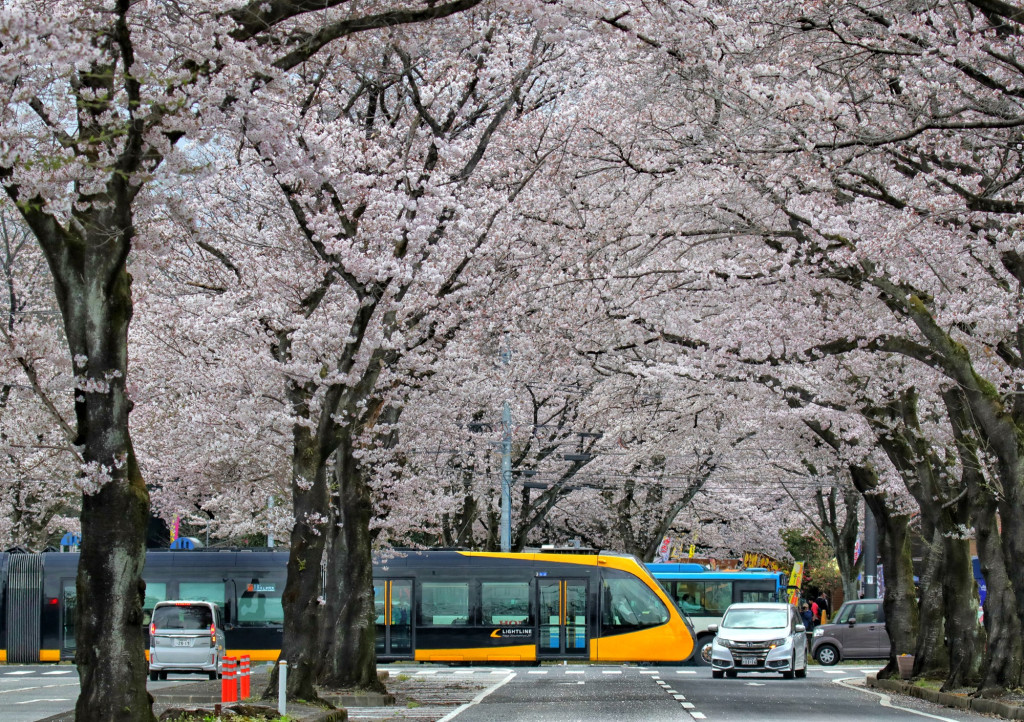 f19a225669f60ca5db1286a91ab735