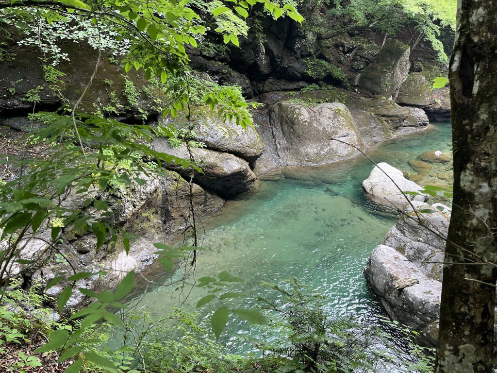 [Relaxed Walking Tour] Abundant Negative Ions: Early Summer Waterside Stroll