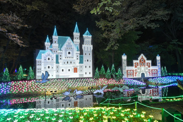 The 16th Grimm Forest Illumination (Shimotsuke City 20th Anniversary)