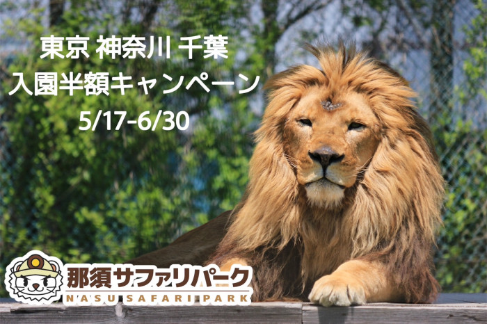 【東京都民、神奈川県民、千葉県民限定】那須サファリパーク「入園料半額キャンペーン」