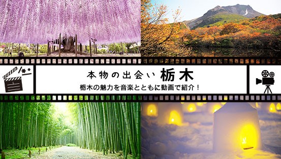 花、食、温泉、自然、歴史・文化。栃木の魅力を動画でご紹介