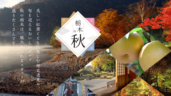 栃木県の秋の魅力をご紹介。エリアごとのおすすめスポットもチェック