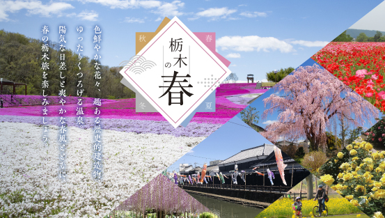 栃木県の春の魅力をご紹介。エリアごとのおすすめスポットもチェック