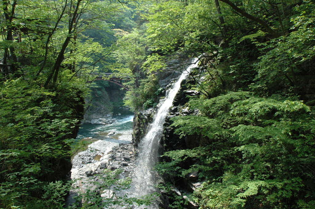 観山　虹の龍の滝登り 観山 虹の龍の滝登り - メルカリ