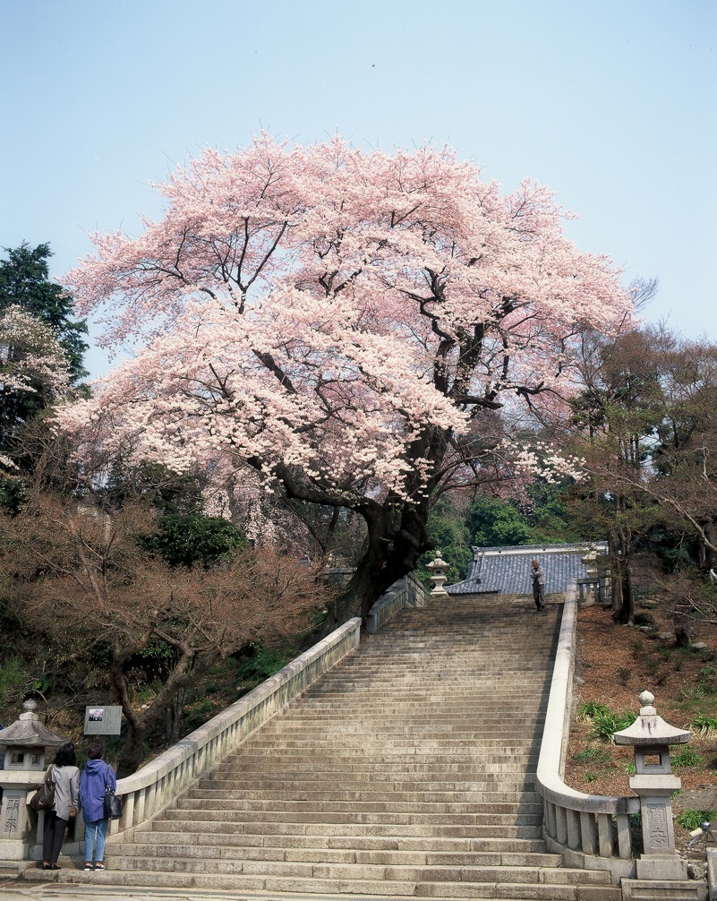 慈光寺 とちぎ旅ネット〜栃木の観光旅行情報サイト