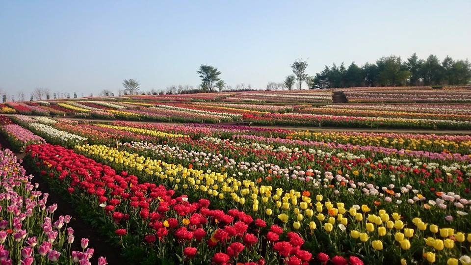 那須フラワーワールド とちぎ旅ネット 栃木の観光旅行情報サイト