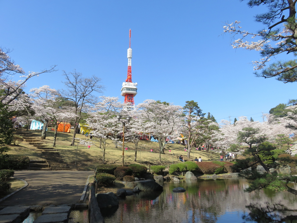 八幡 山 公園