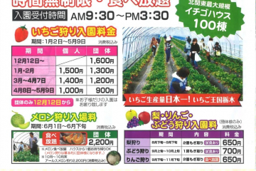 井頭観光いちご園 とちぎ旅ネット 栃木の観光旅行情報サイト