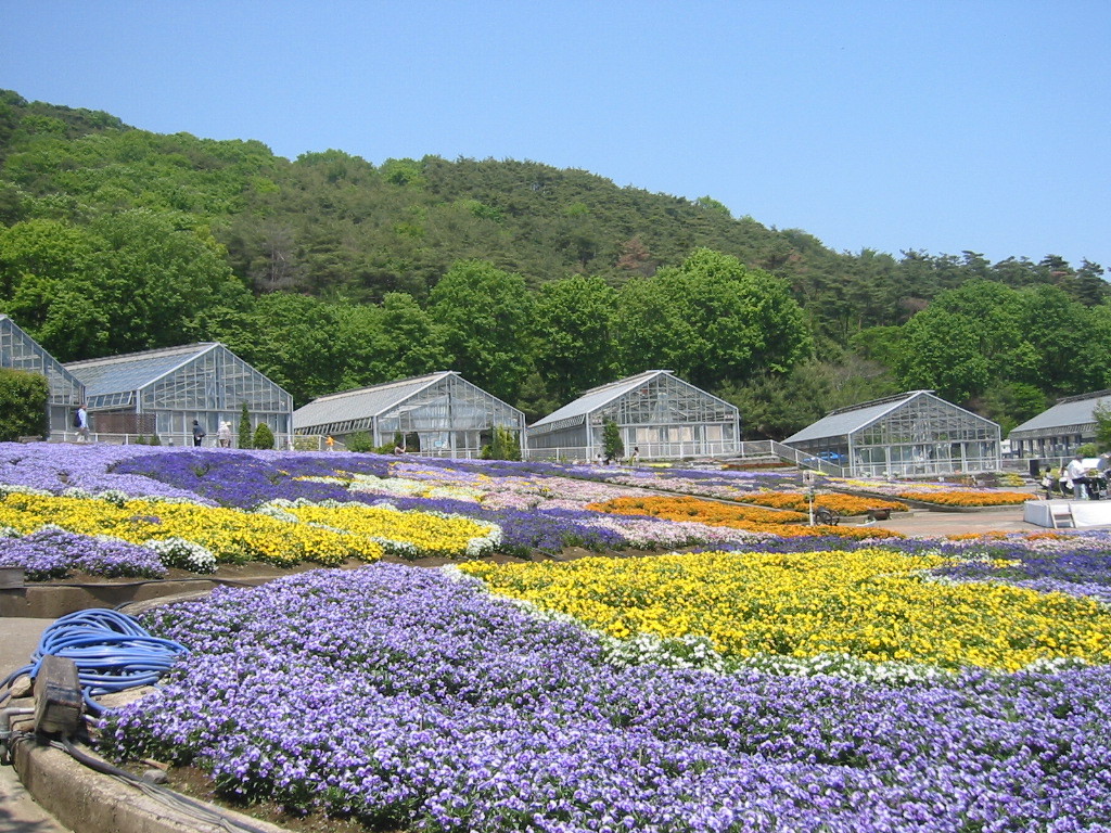 とちぎ花センター とちぎ旅ネット 栃木の観光旅行情報サイト とちぎ花センター とちぎ旅ネット 栃木の観光旅行情報サイト