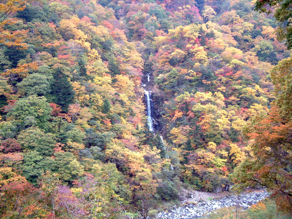 蛇王の滝 | とちぎ旅ネット〜栃木の観光旅行情報サイト
