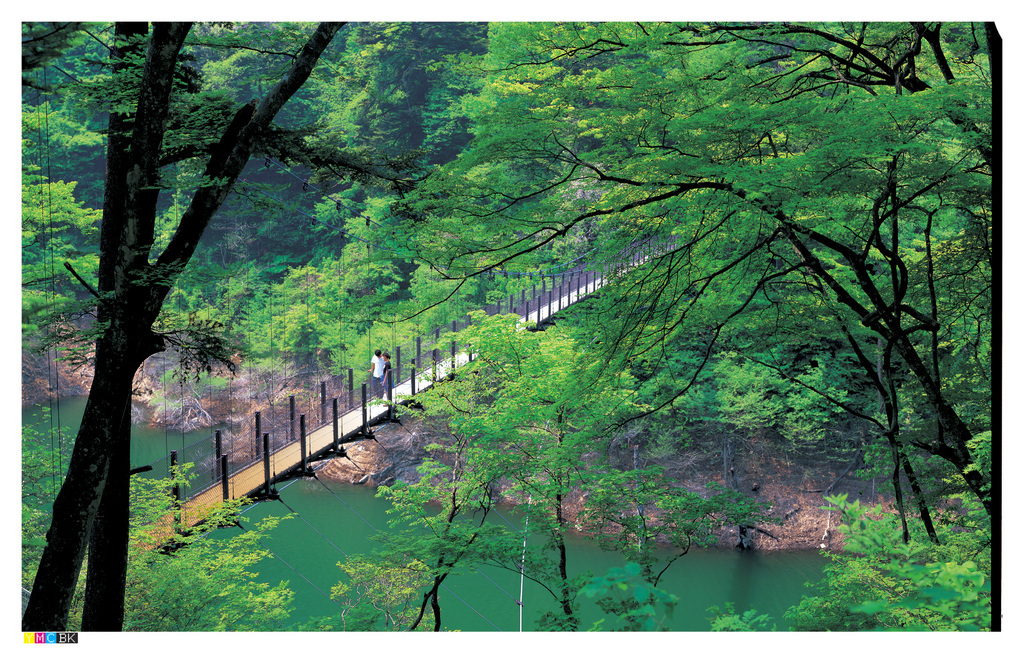 回顧の吊橋・回顧の滝 | とちぎ旅ネット〜栃木の観光旅行情報サイト