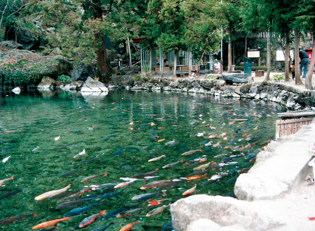 出流原弁天池 磯山弁財天 磯山公園 とちぎ旅ネット 栃木の観光旅行情報サイト