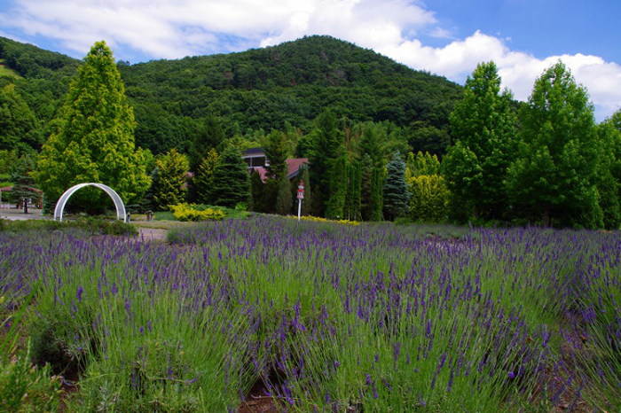 みかもハーブ園 みかも山公園内 とちぎ旅ネット 栃木の観光旅行情報サイト